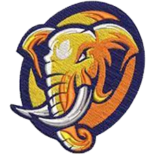 Logo Digitizing - Portfolio