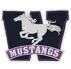 Logo Digitizing - Portfolio